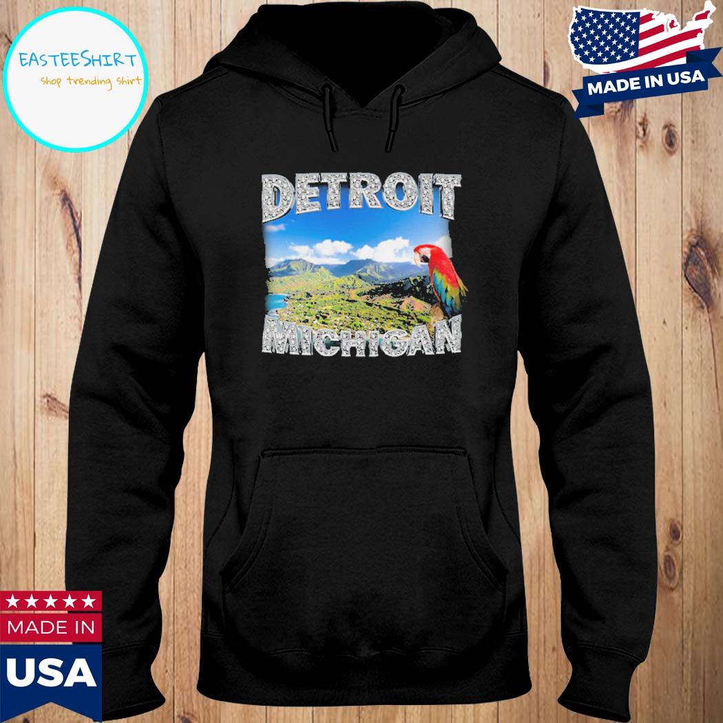Official Detroit Michigan Shirt Hoodie