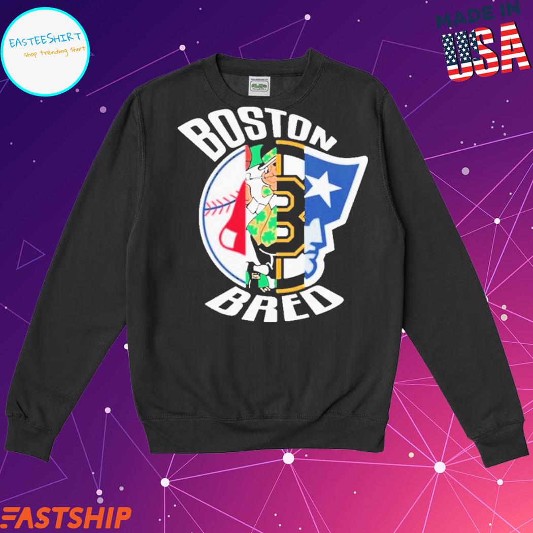 Boston Red Sox New England Patriots Celtics Bruins Hoodie