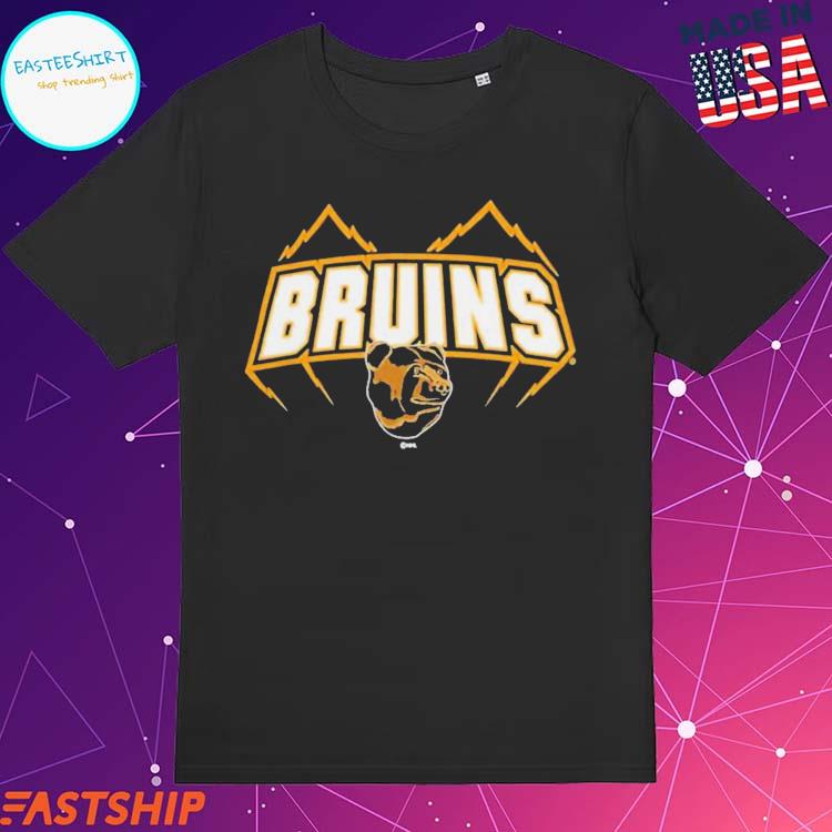 Official boston Bruins Black Team Jersey Inspired T-Shirts, hoodie